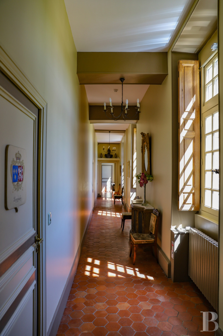 A 17th century family chateau in Seine-et-Marne, between Fontainebleau and Nemours - photo  n°24